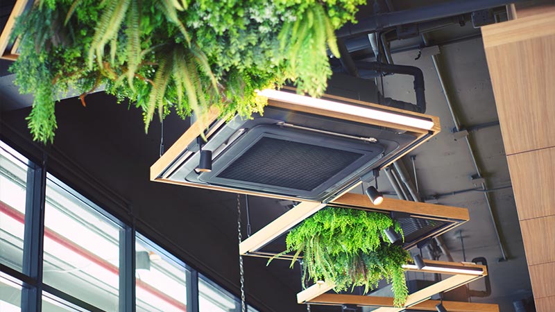 Ceiling mounted aircon with some plants